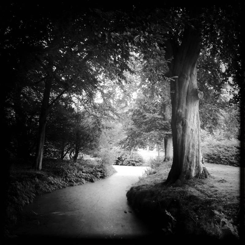 Weg im Park
