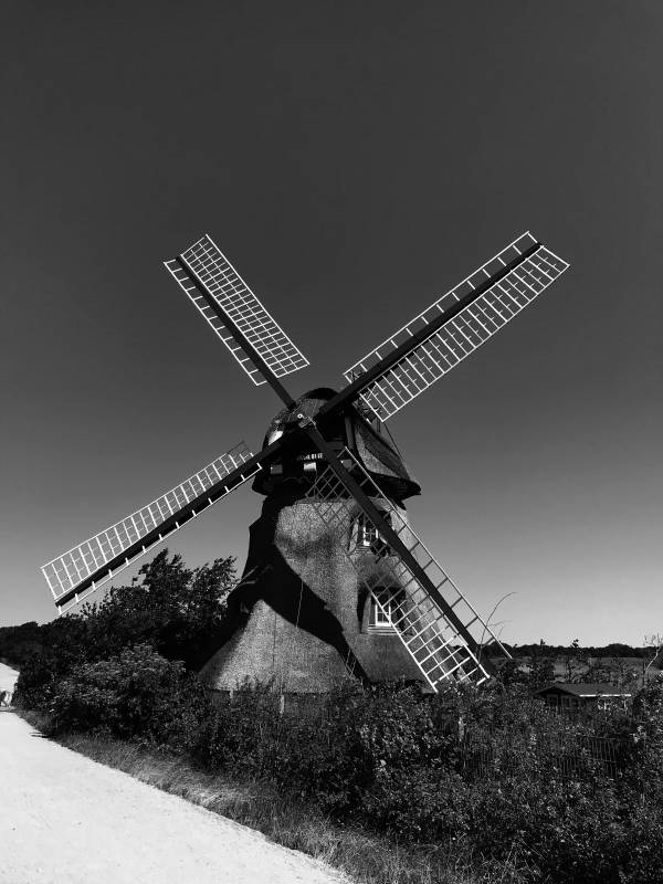 Mühle in der Geltinger Birk